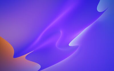 Aliquam gravida justo non lorem